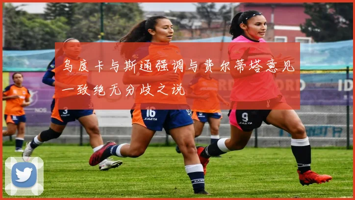 乌度卡与斯通强调与费尔蒂塔意见一致绝无分歧之说