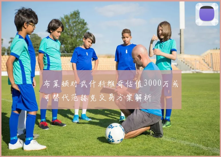 布莱顿对武什科维奇估值3000万或可替代范赫克交易方案解析