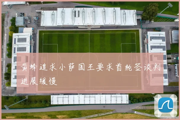 黄蜂追求小萨国王要求首轮签谈判进展缓慢